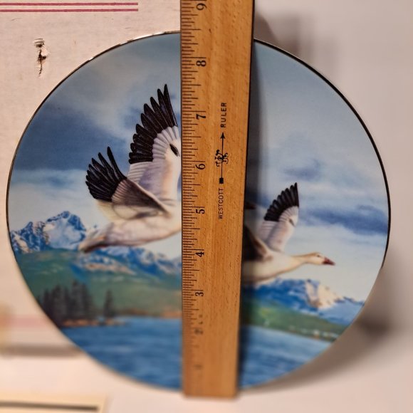Winter Wings :Snow Geese Darrell Bush Bradford Exchange Plate Certificate 1990 - Picture 3 of 9